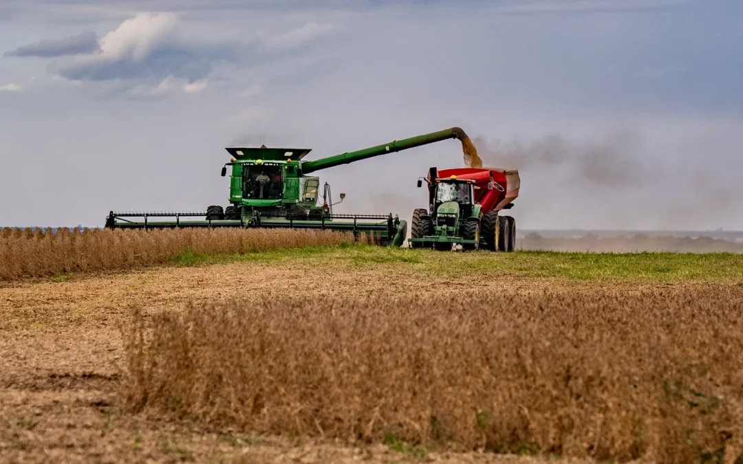 Agricultura al servicio del feedlot