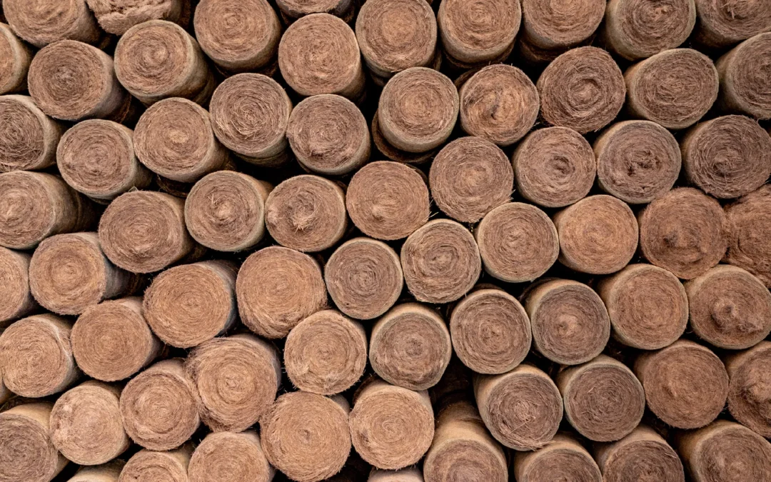 Manejo estratégico en épocas de sequía