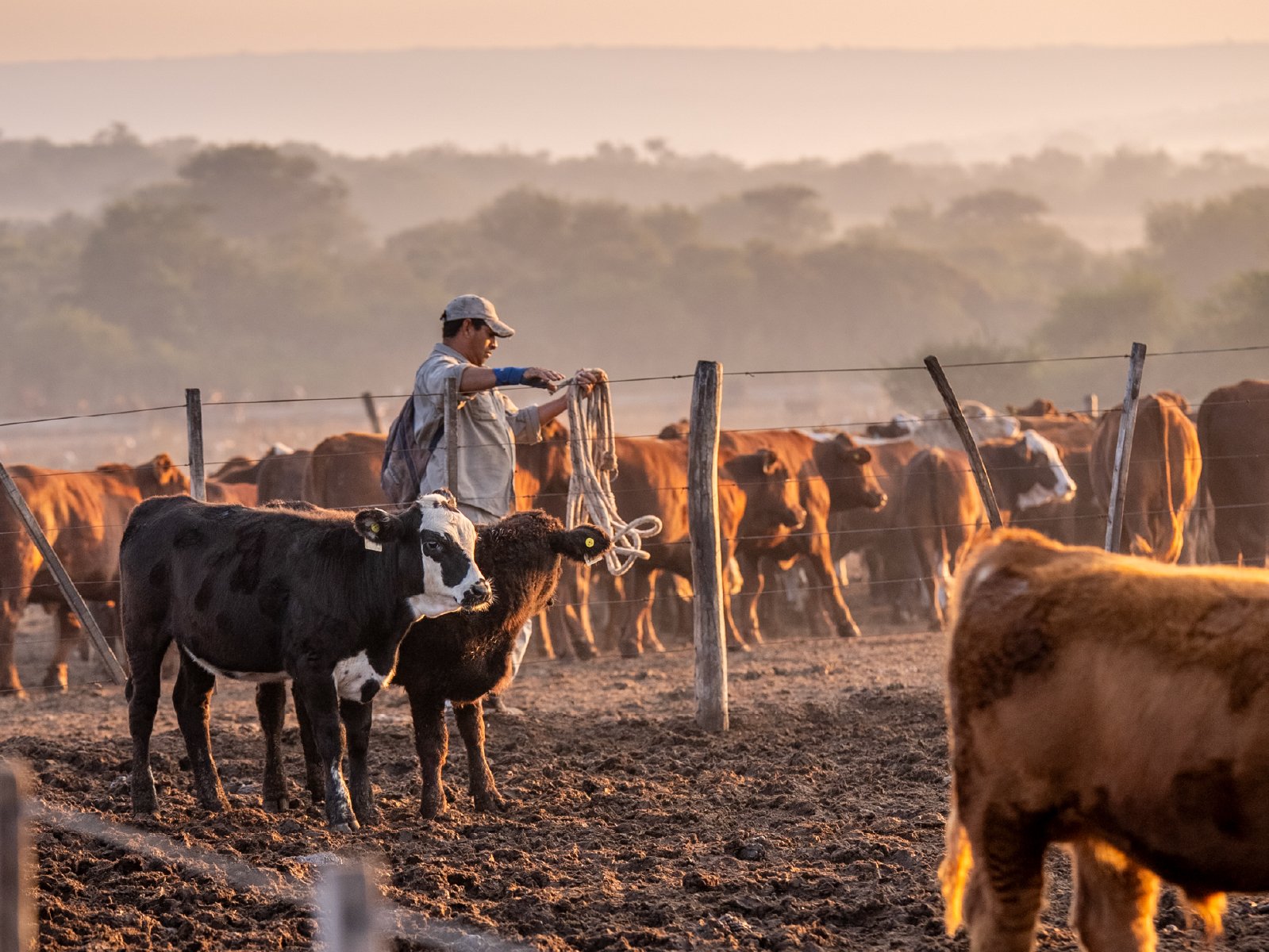 Mesa de trabajo 2-100